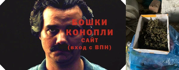 стаф Ельня