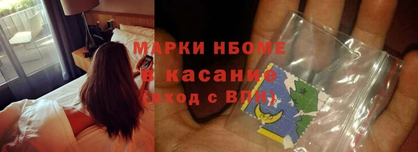 стаф Ельня