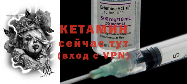 стаф Ельня