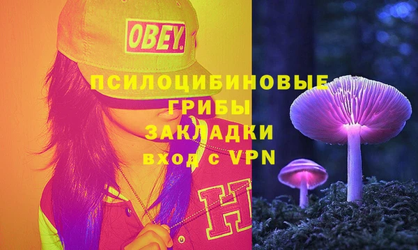 стаф Ельня