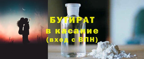 стаф Ельня