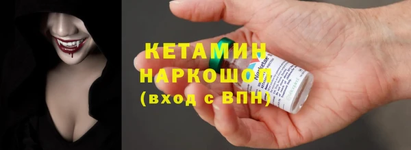 стаф Ельня