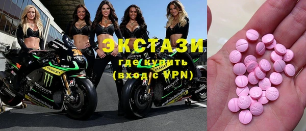 стаф Ельня