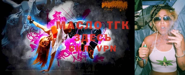 стаф Ельня