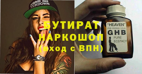 стаф Ельня
