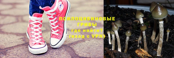 герыч Белая Холуница