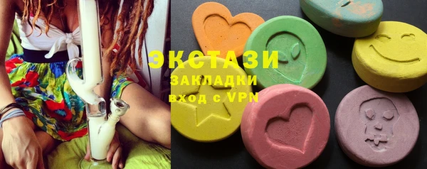 стаф Ельня