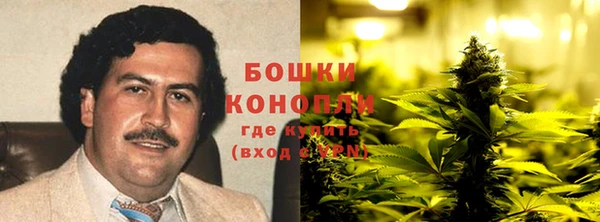стаф Ельня